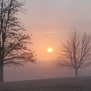 Meet your Posher, Janice